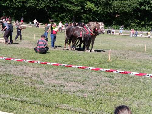 IMG_20260523_160042